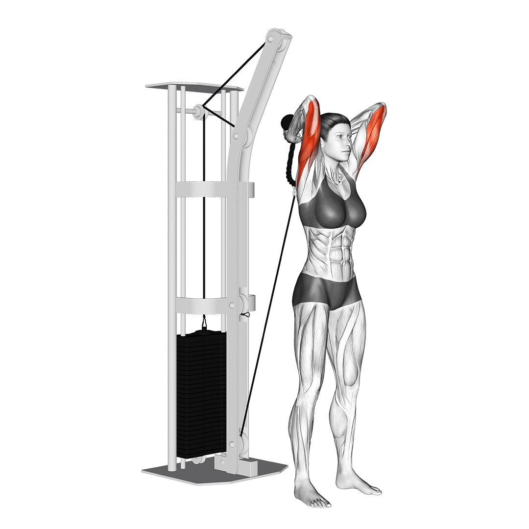 overhead cable tricep extension