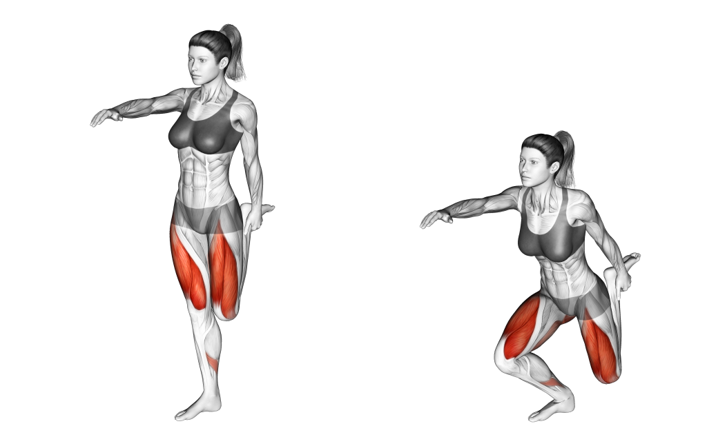 shrimp squat muscles