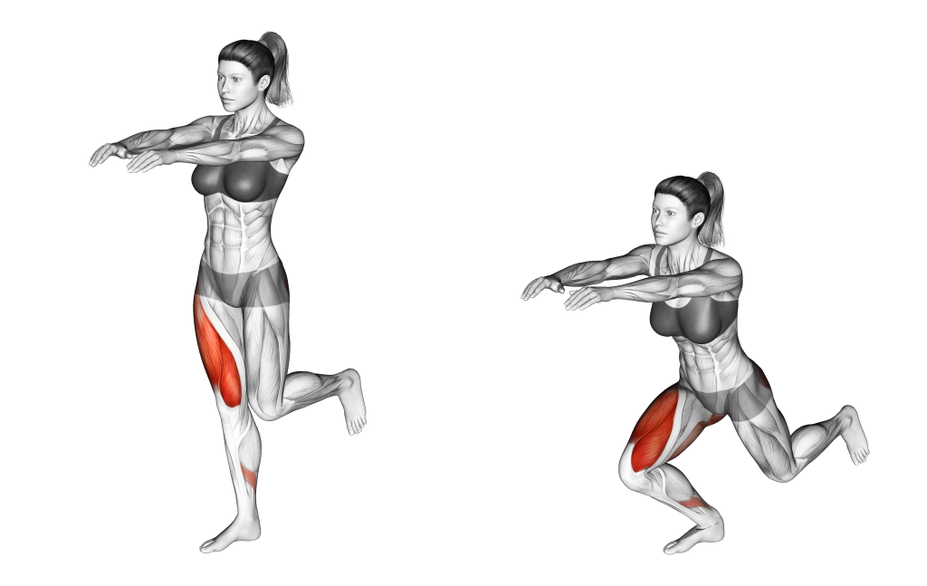 skater squat muscles