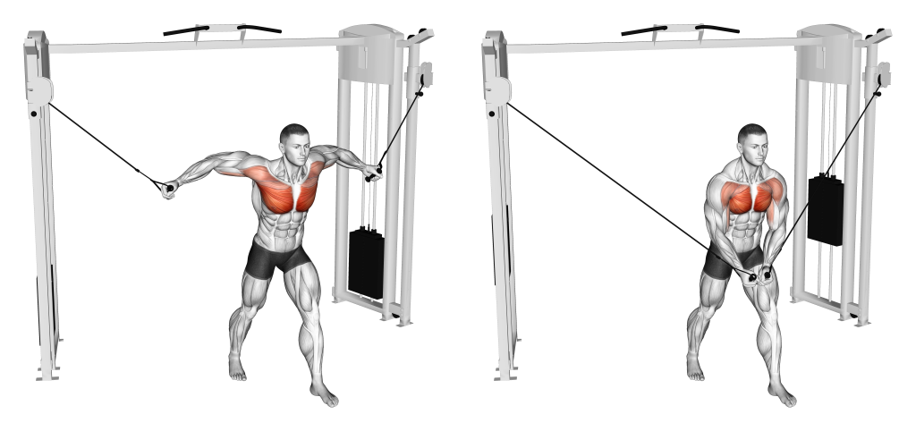standing cable chest fly