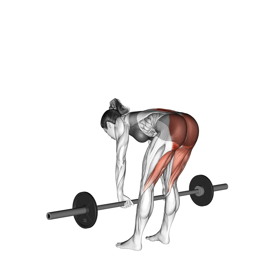 straight leg deadlift