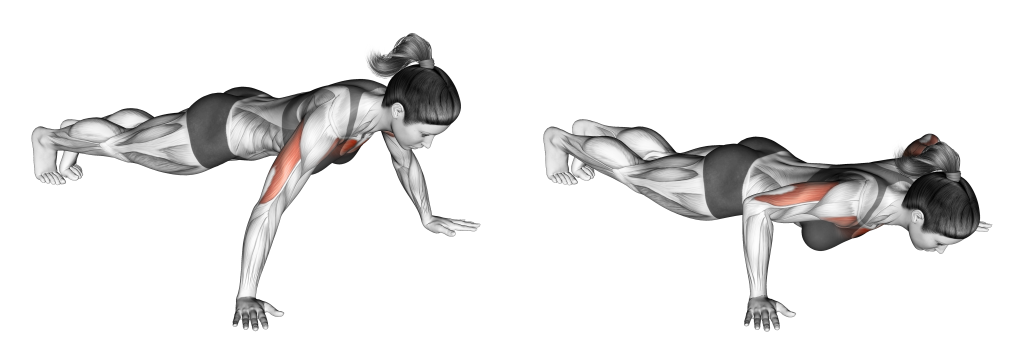 wide arm push ups muscles used