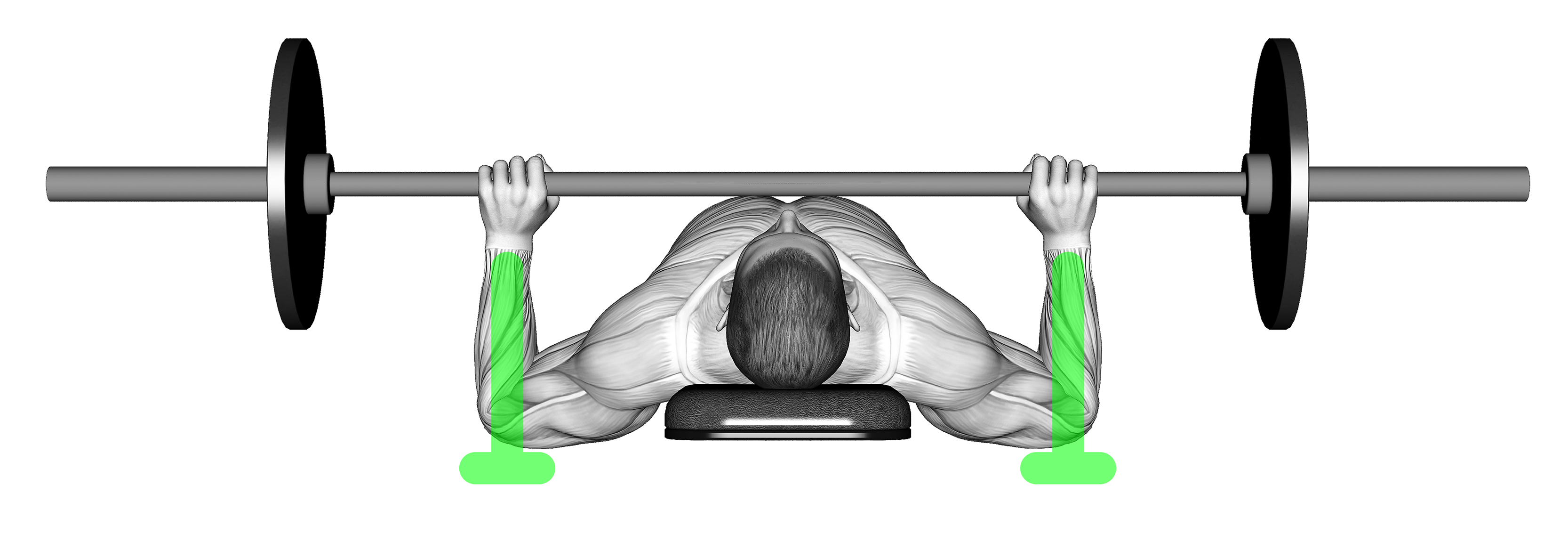 bench press neutral grip