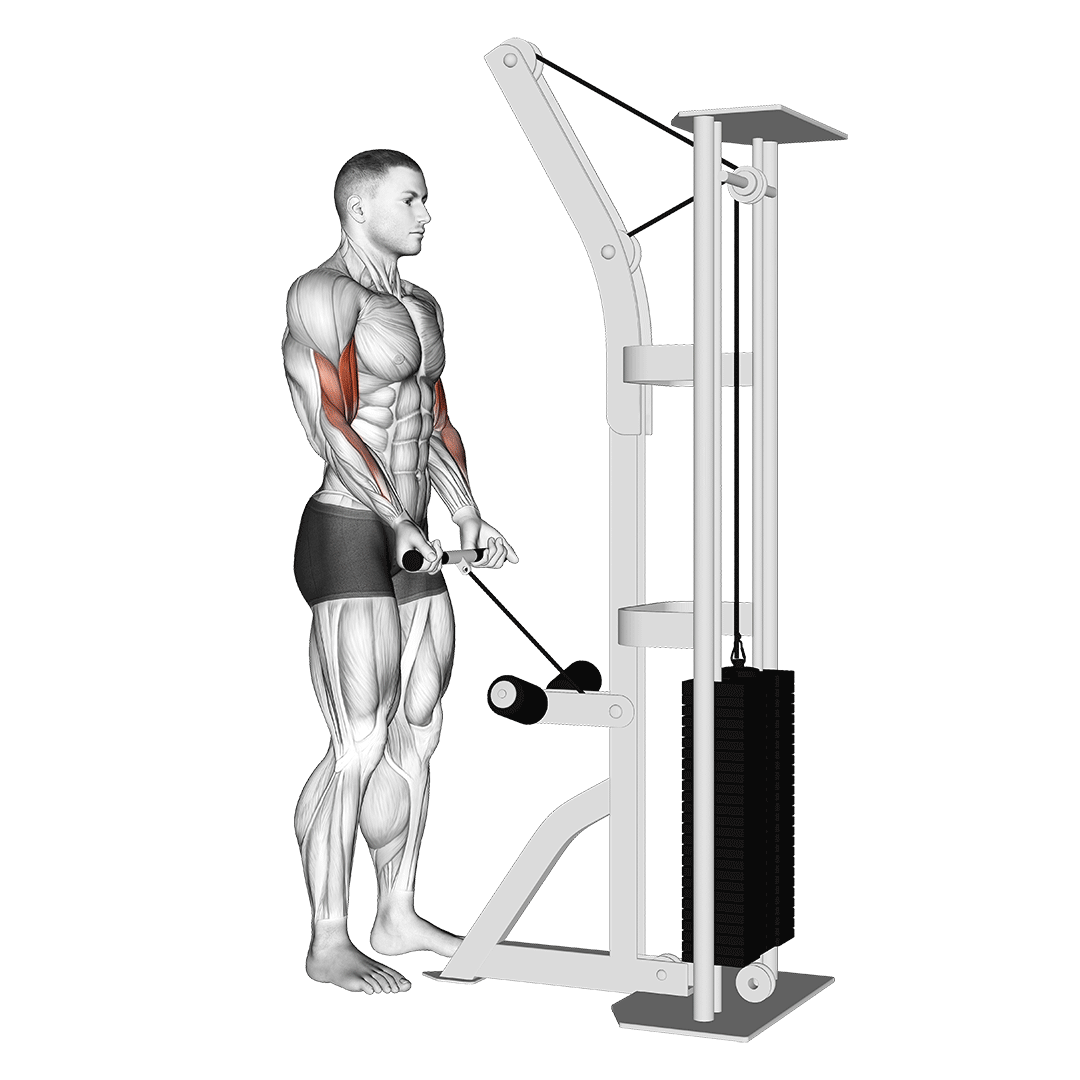 cable drag curl