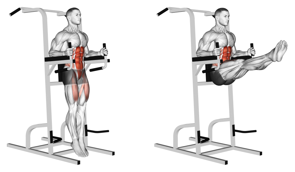 captains chair leg raise muscles