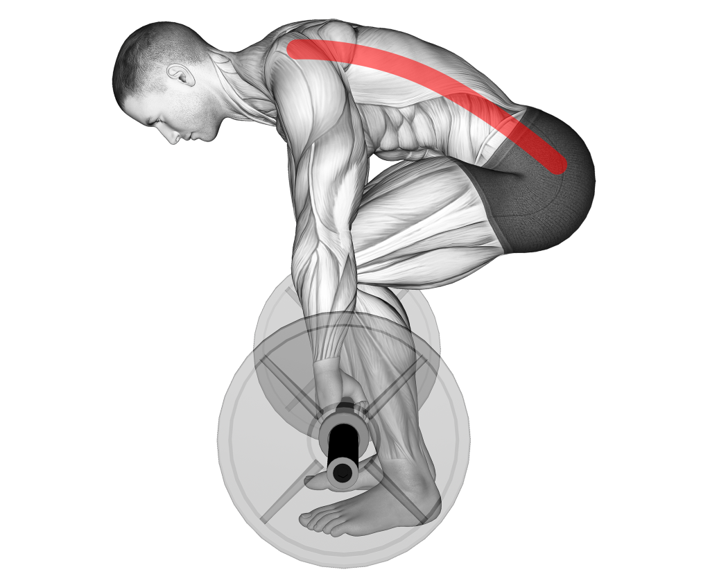 deadlift lower back rounding