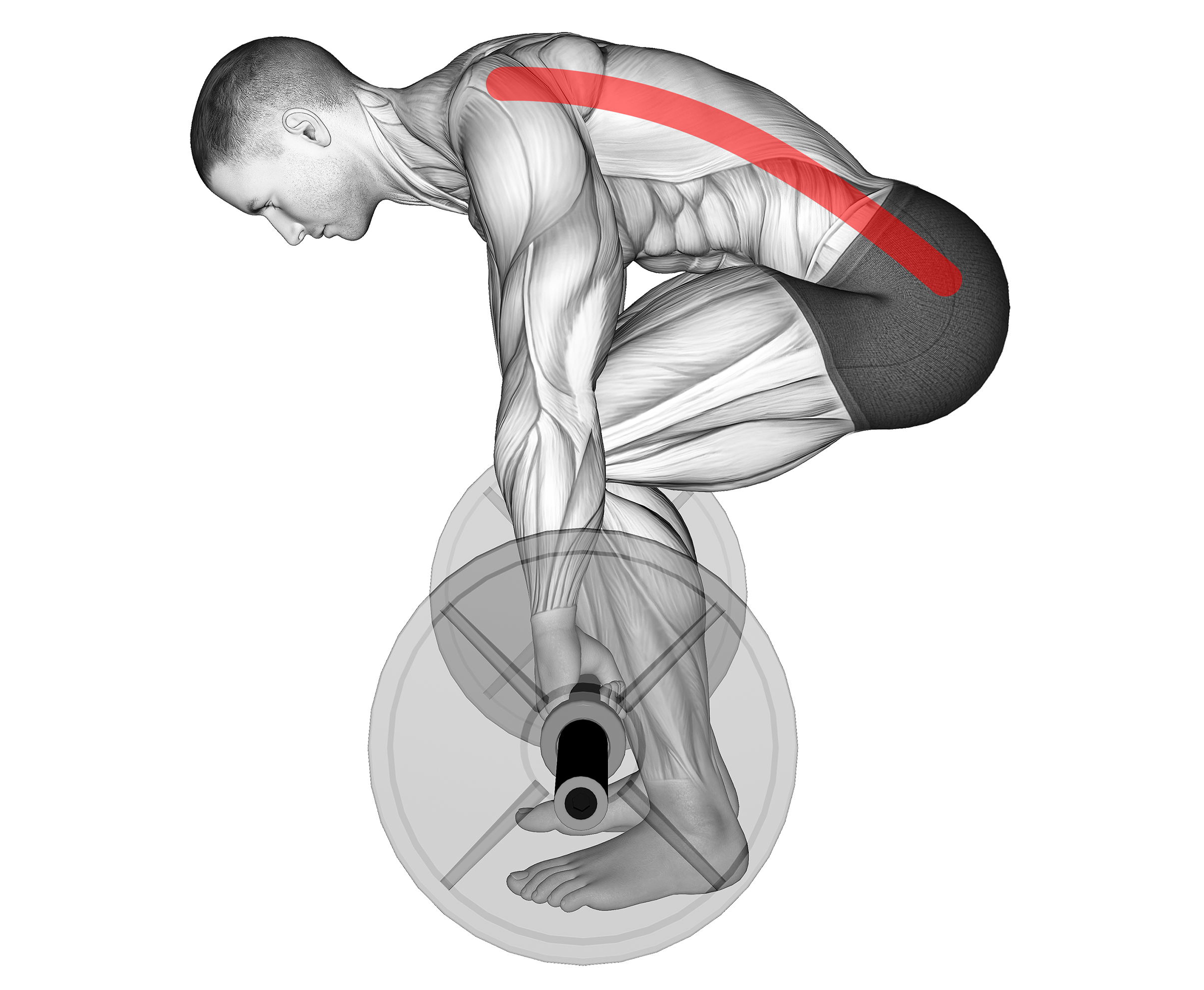 deadlift lower back rounding