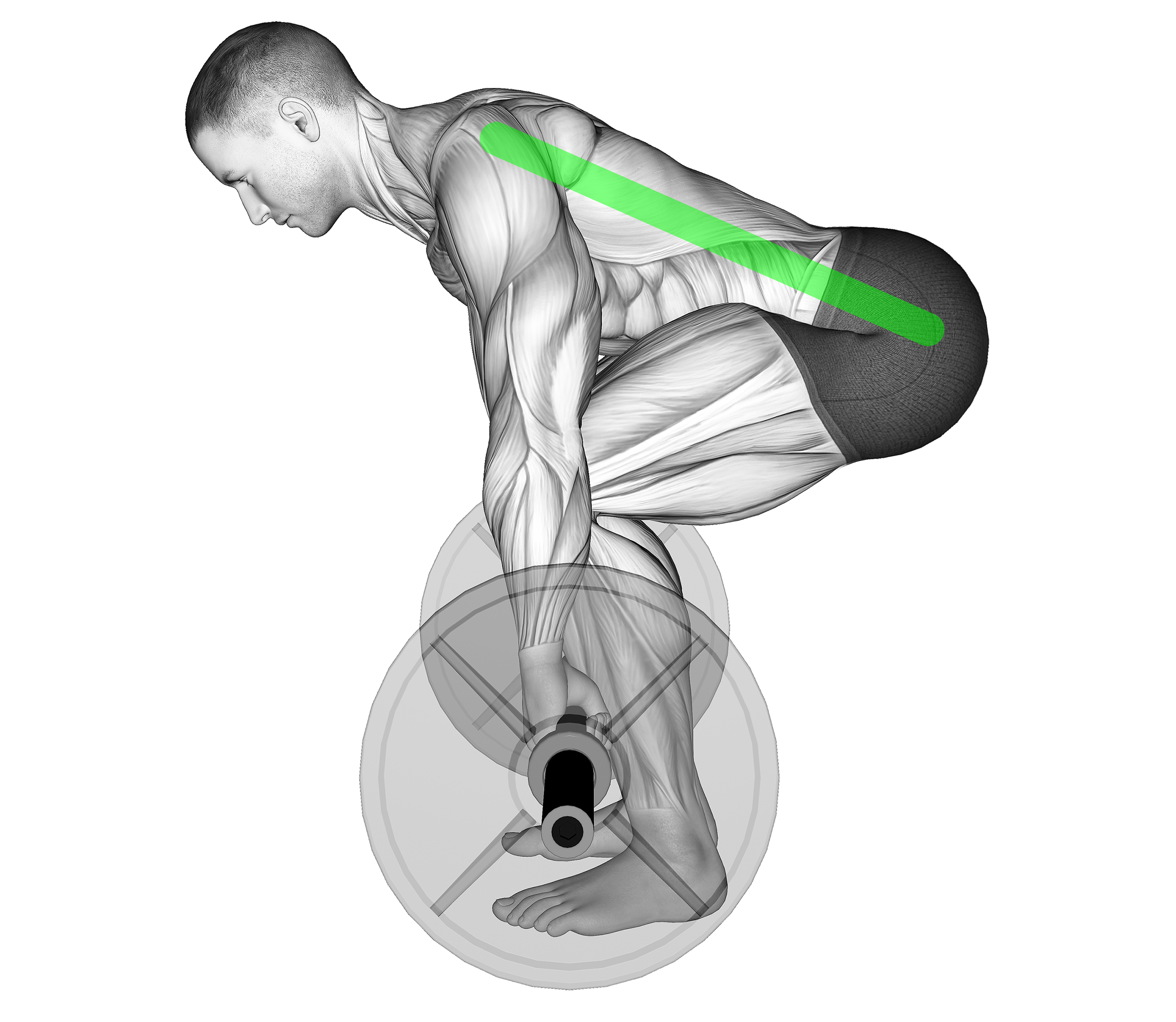 deadlift neutral spine