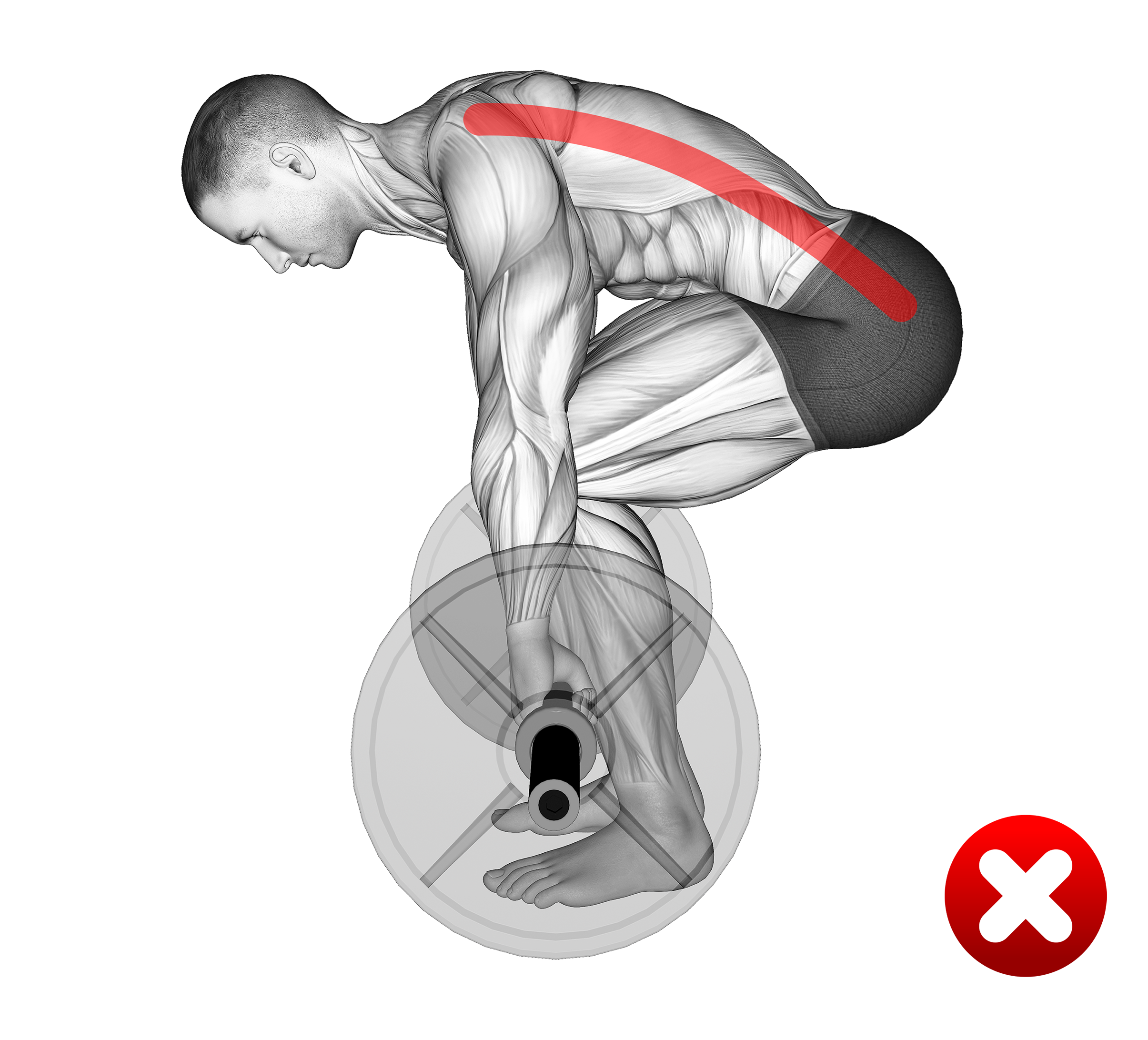 deadlift rounding back