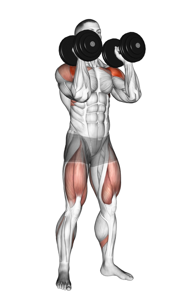 dumbbell push press starting position