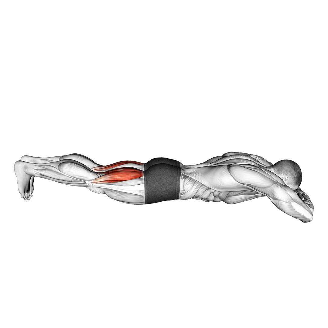 lying hamstring curl