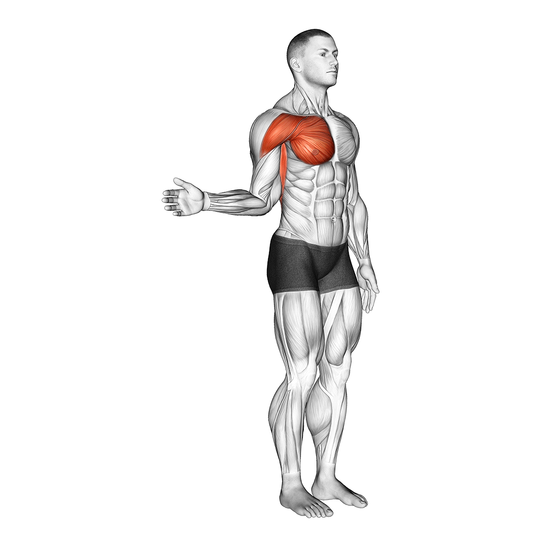 shoulder internal rotation stretch