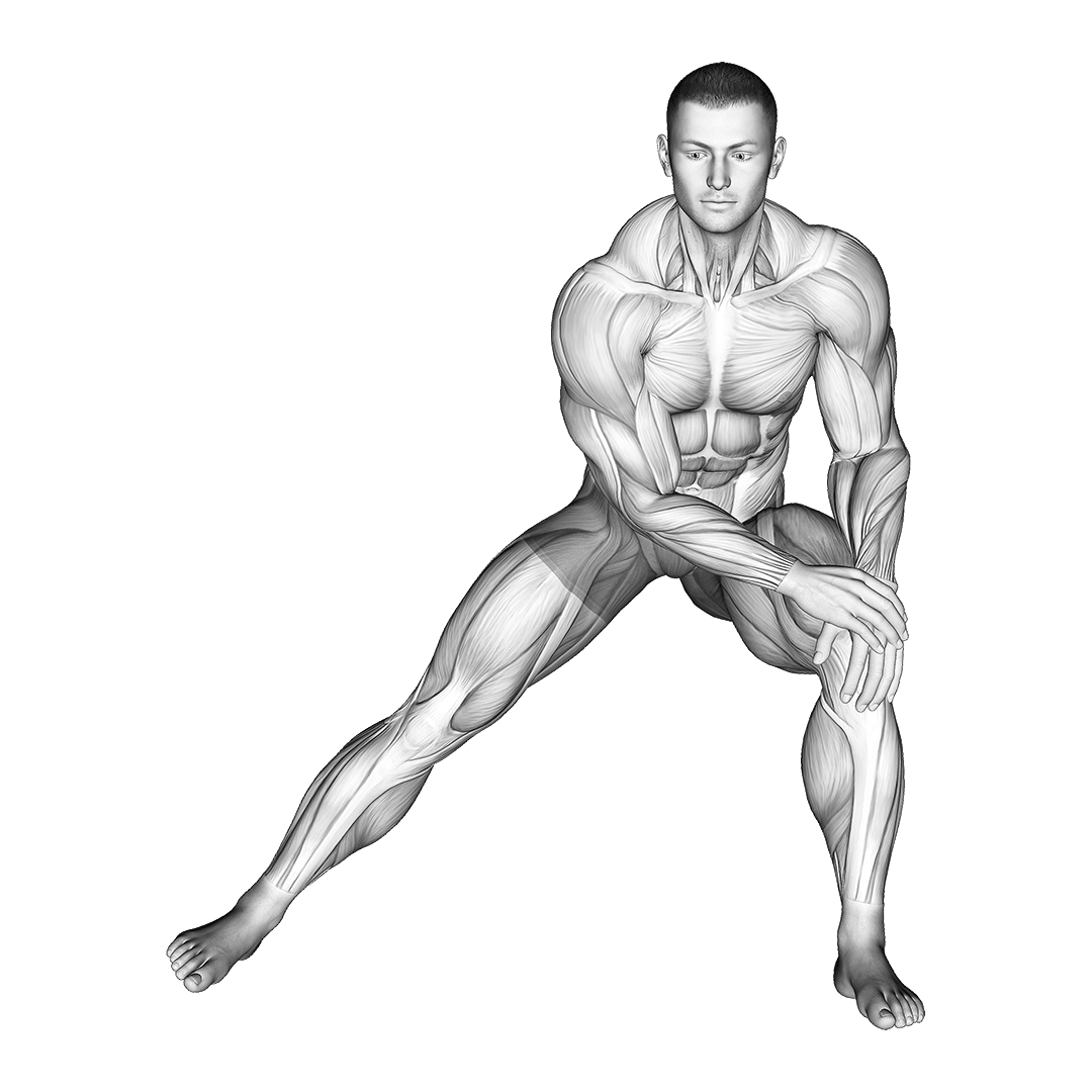 side lunge stretch