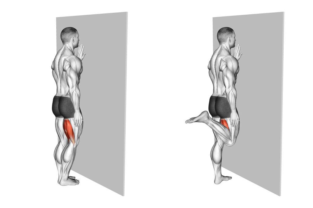 standing hamstring curl