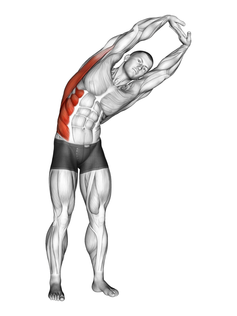 standing side stretch