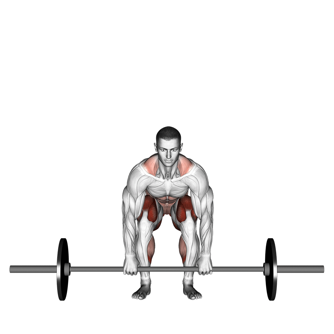 barbell deadlift front view