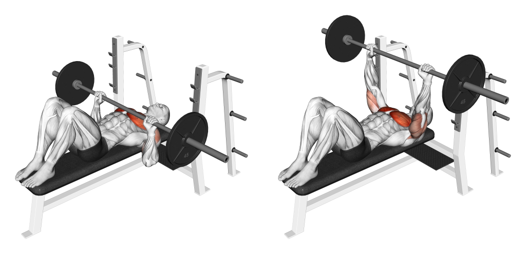 bench press feet up muscles