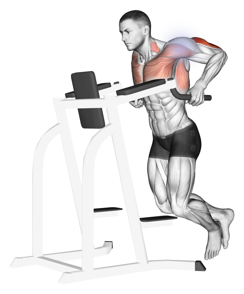dip shoulder joint