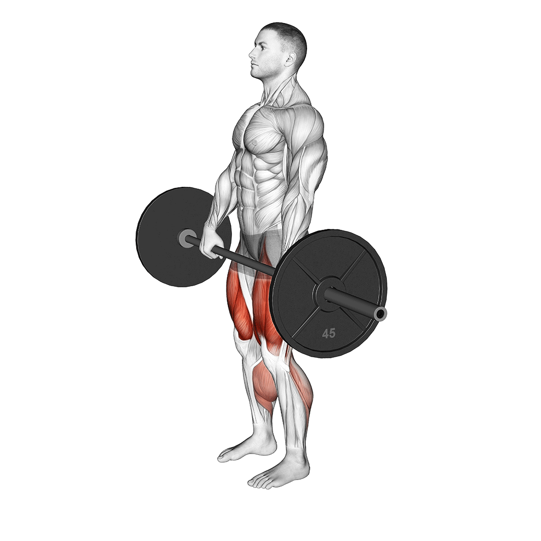 eccentric deadlift
