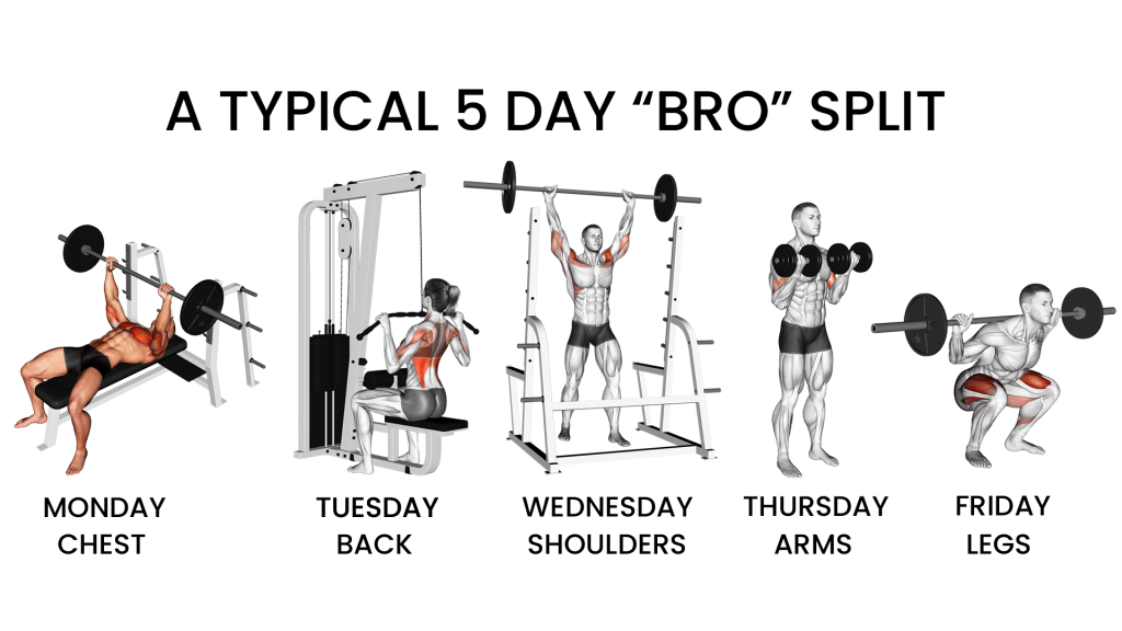 example bro split