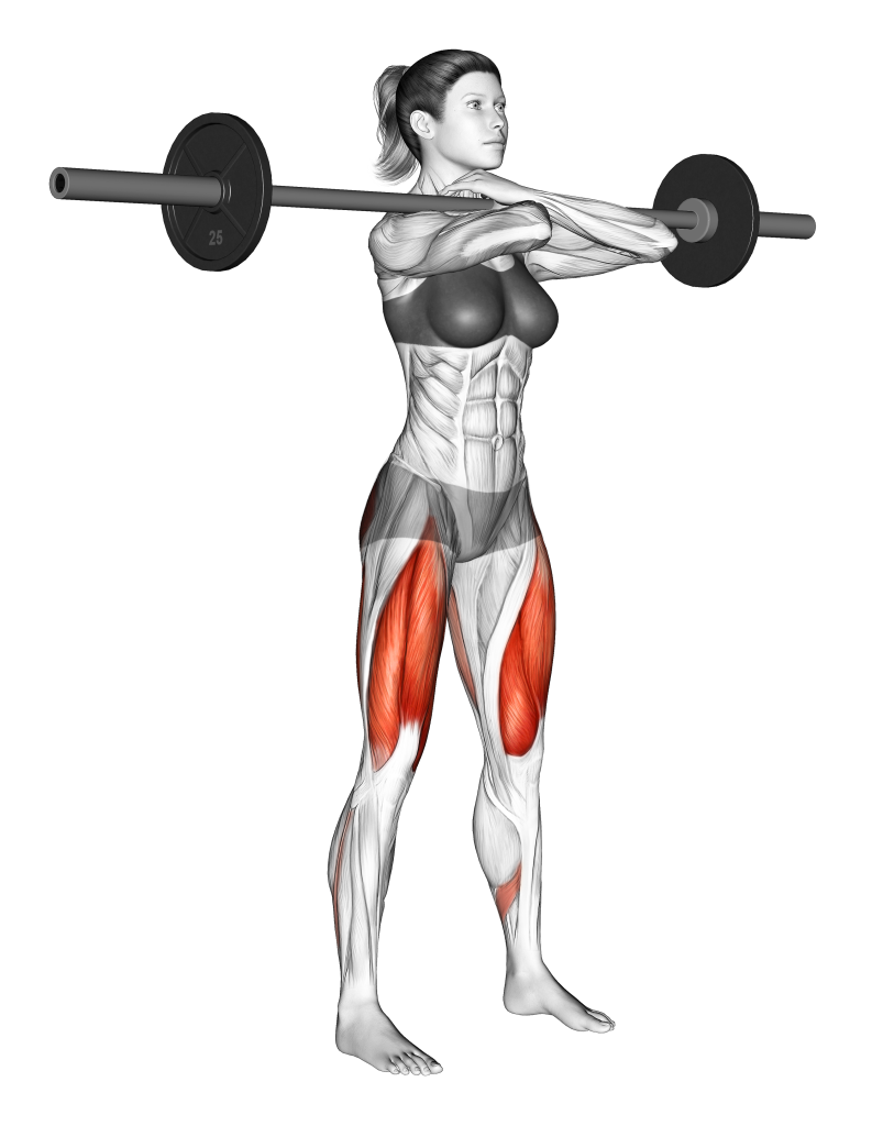 front squat bar placement