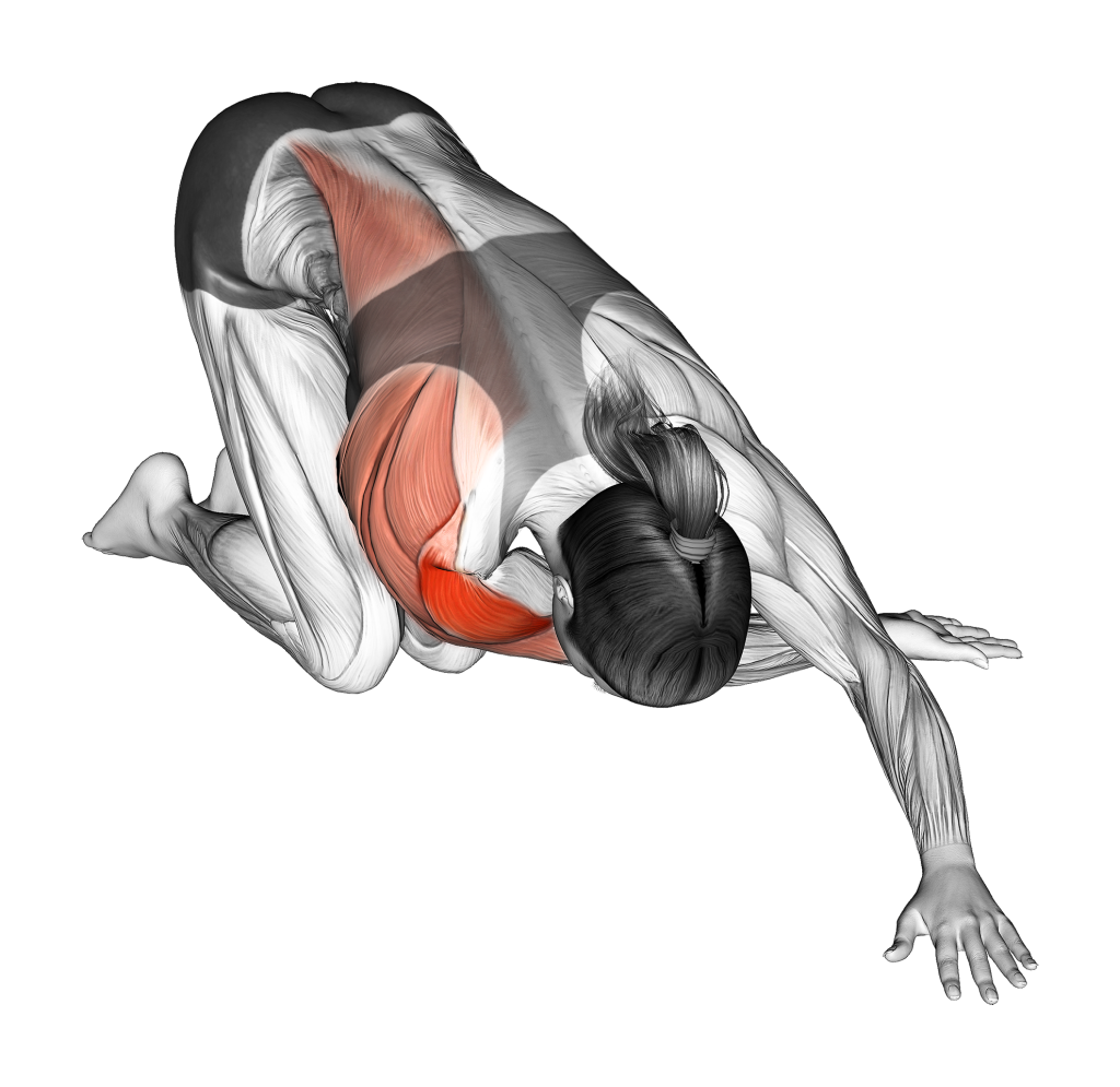 kneeling one arm cross body stretch