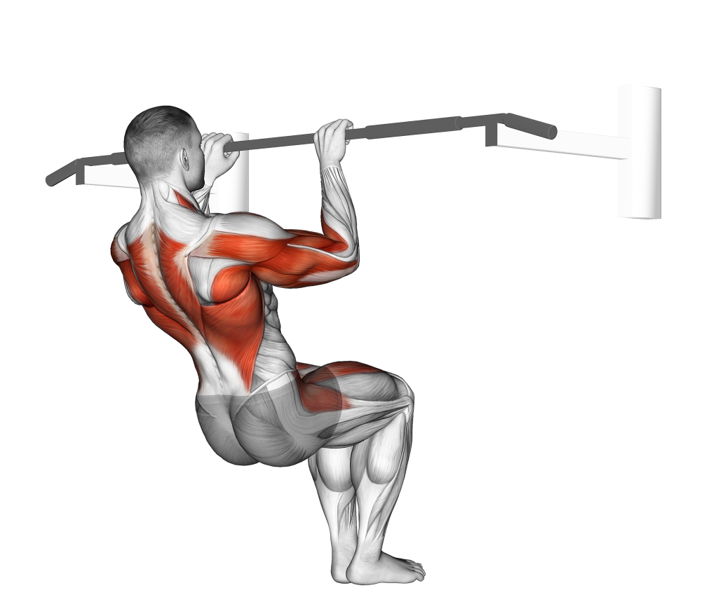 muscle up 2nd position