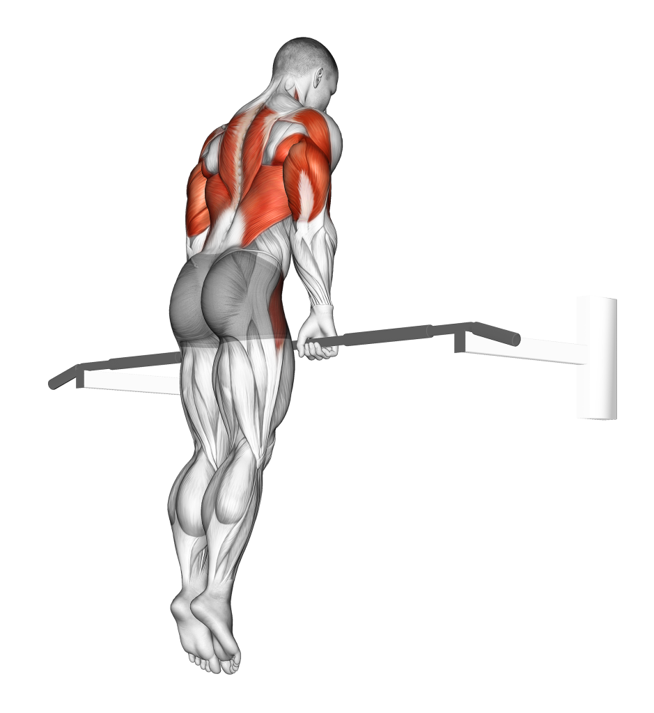 muscle up end position