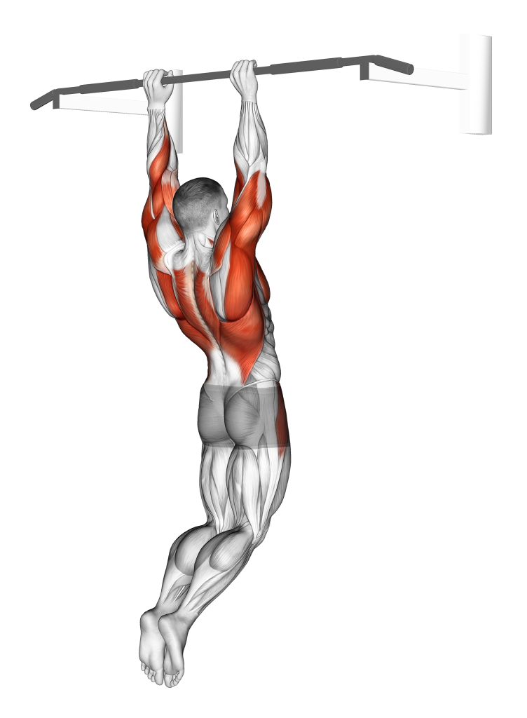 muscle up starting position