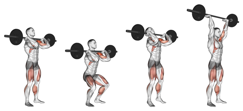 push press muscles