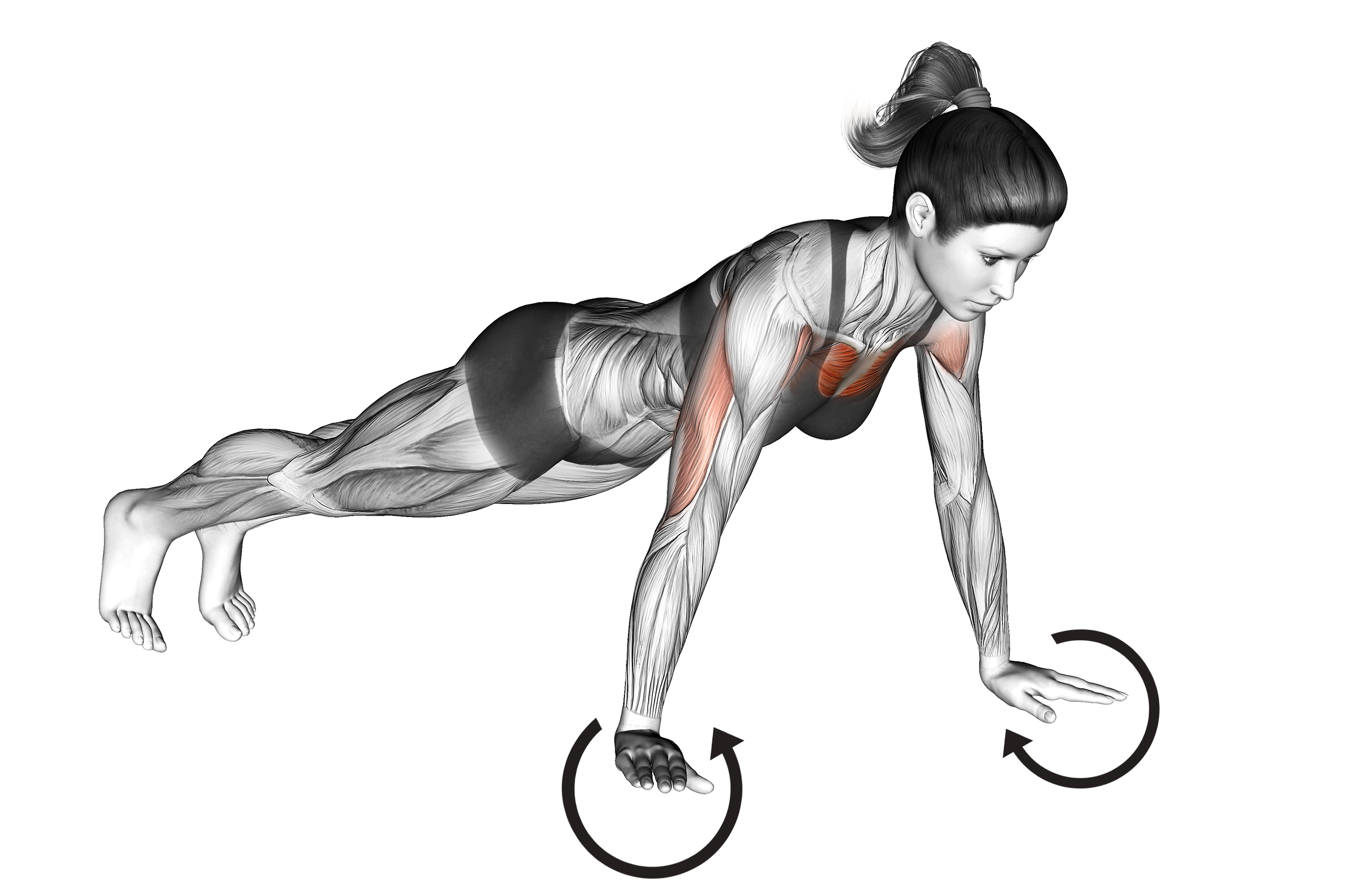 push up hands pointed inwards