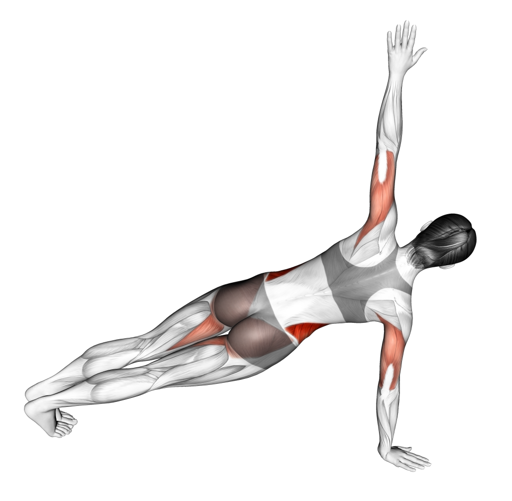 push up rotation other side