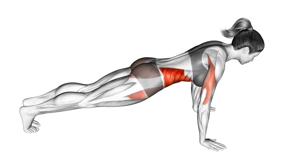 push up with rotation starting position