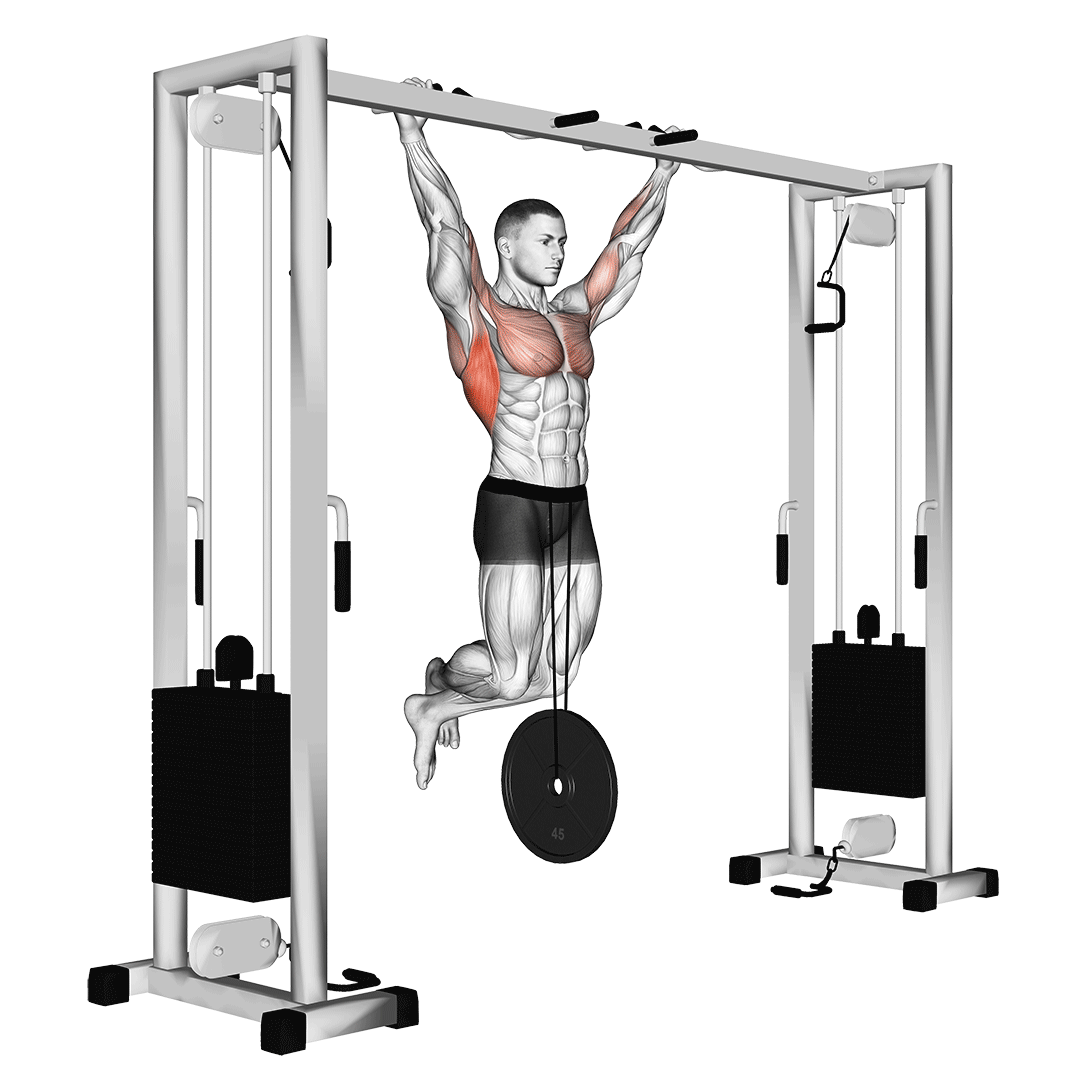 weighted pull up