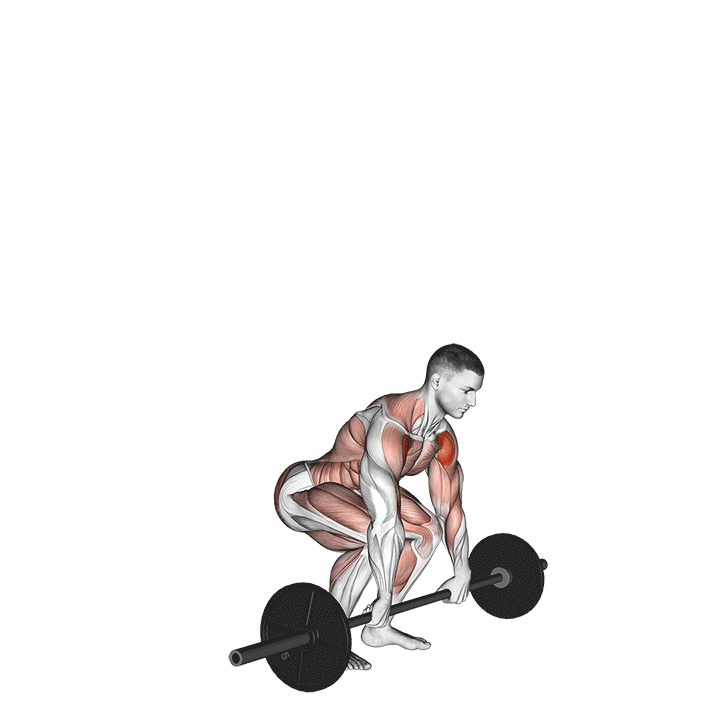 barbell clean and press muscles