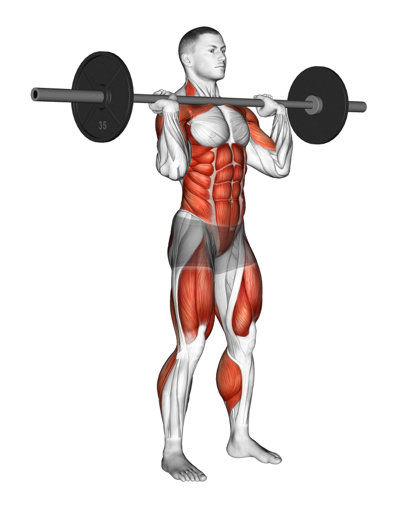 barbell hang clean end position