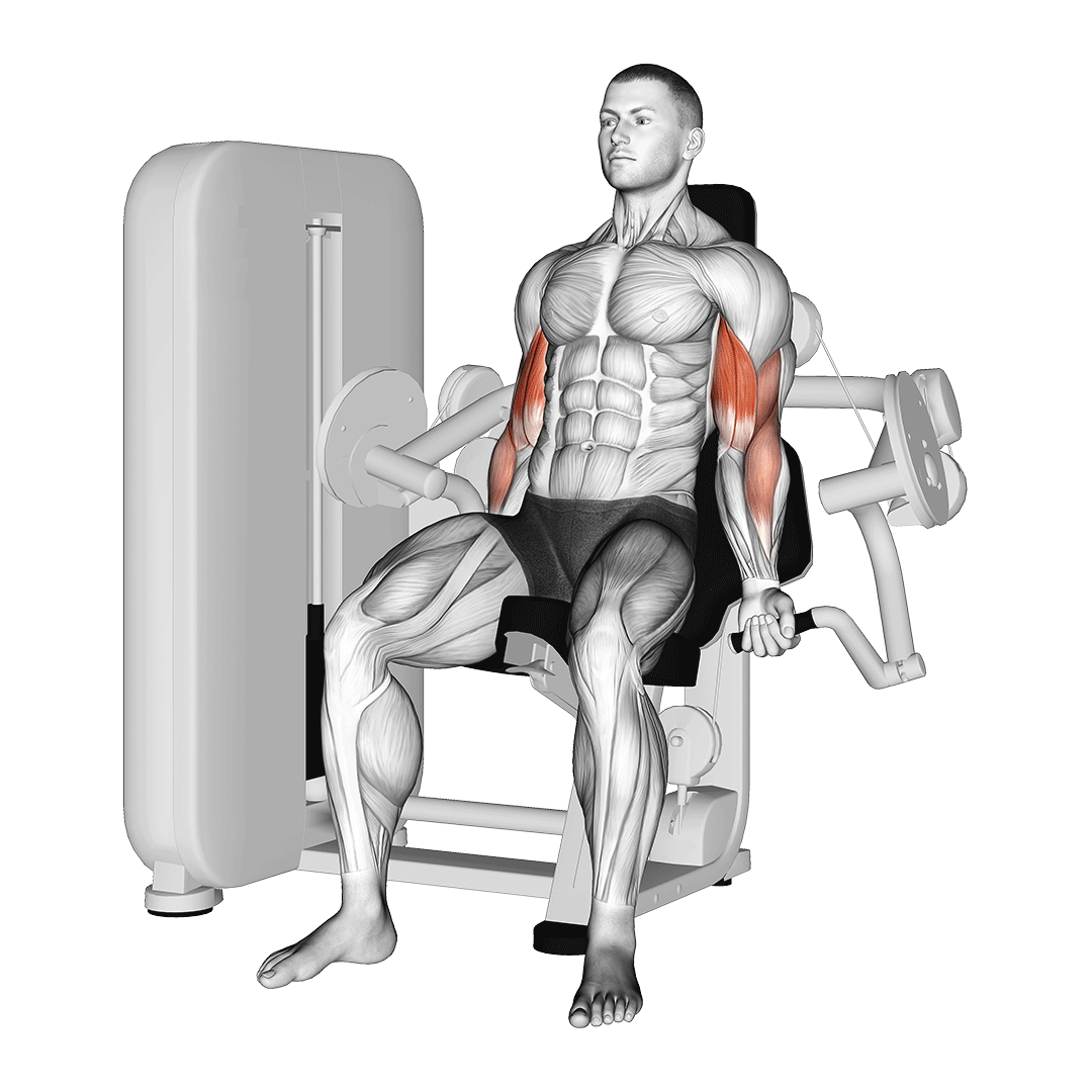 bicep curl machine