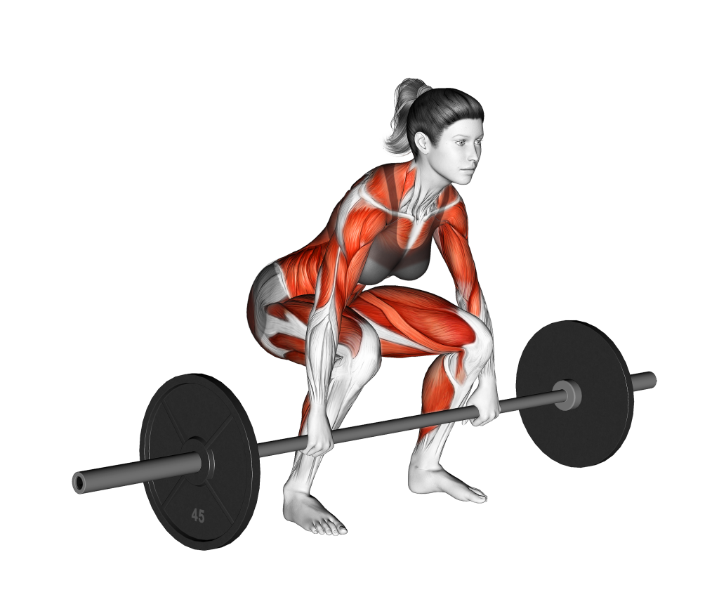 clean and press starting position