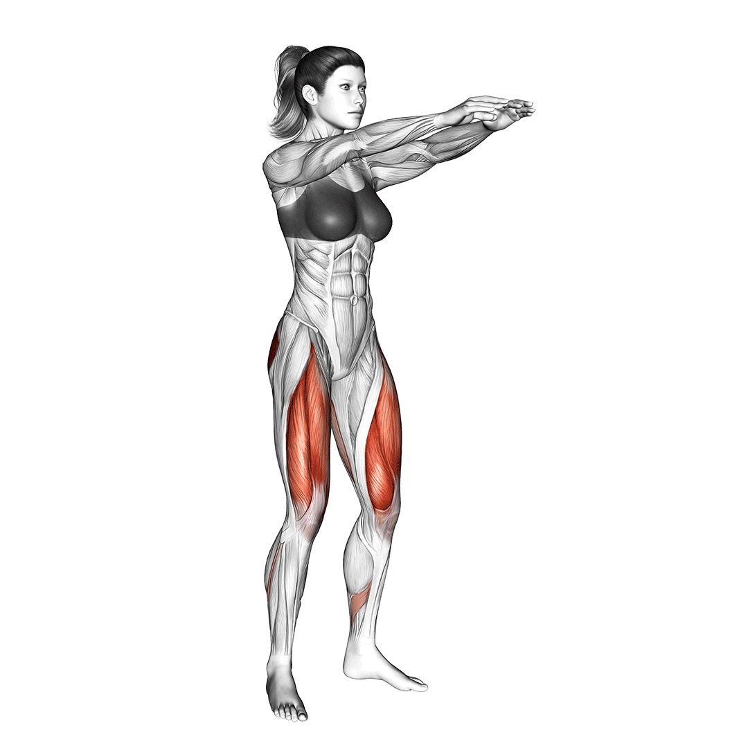 half knee bend squat