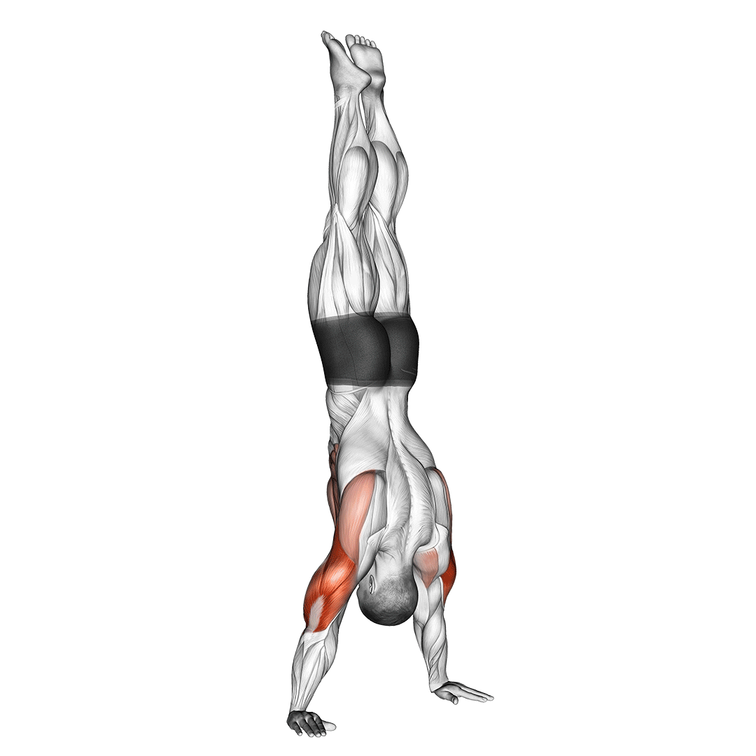 handstand pushup