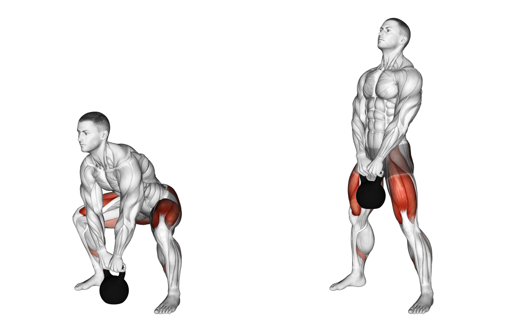 kettlebell sumo squat muscles