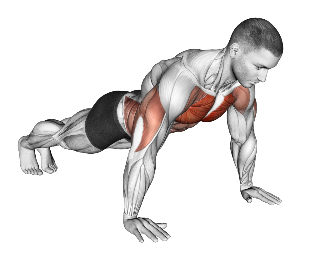 negative push up starting position