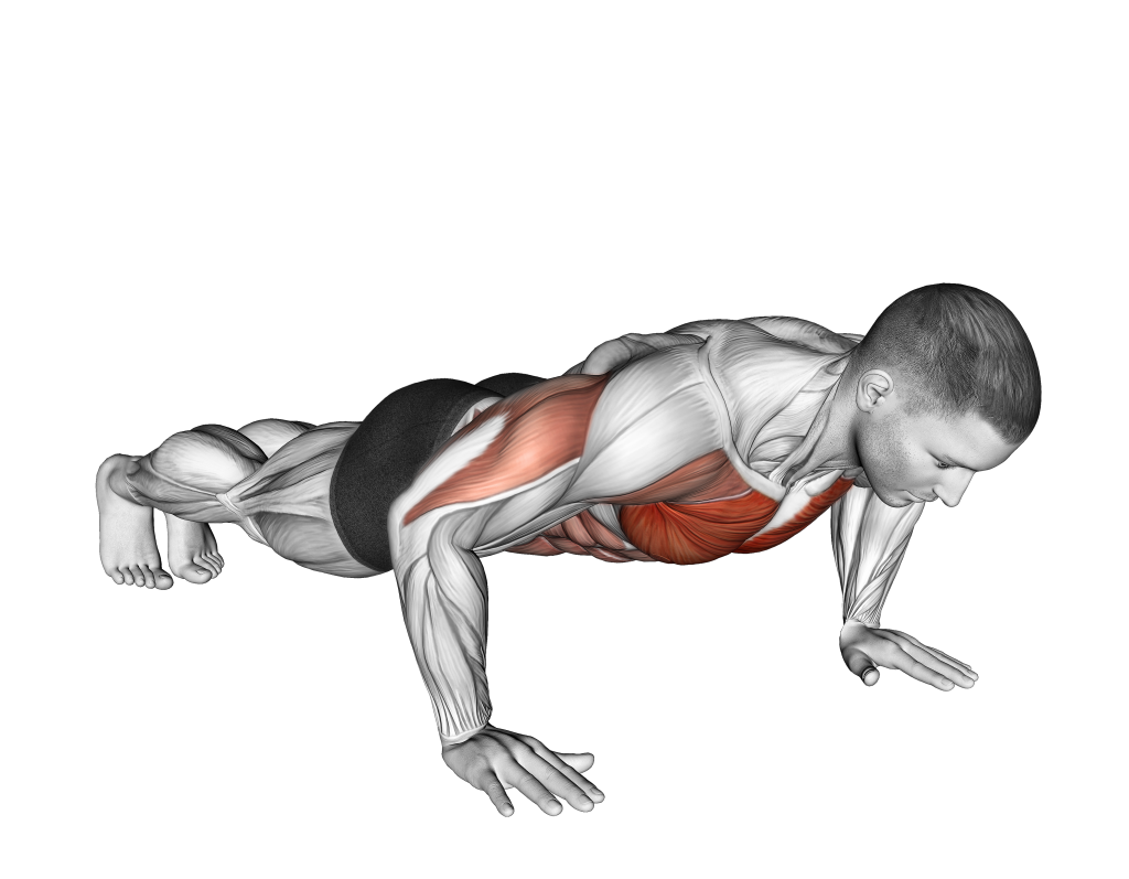 negative push up step 2