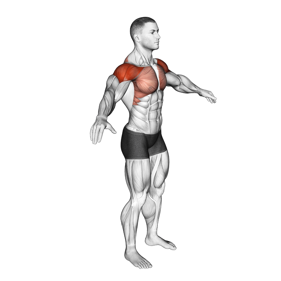 arm circles