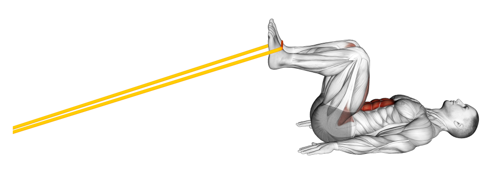 band reverse squat movement
