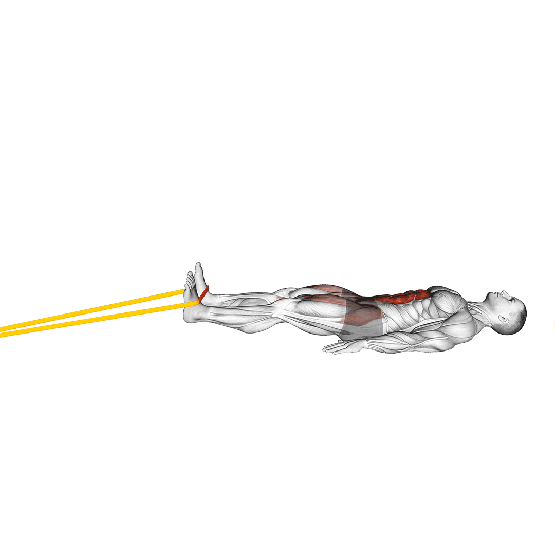 band reverse squat