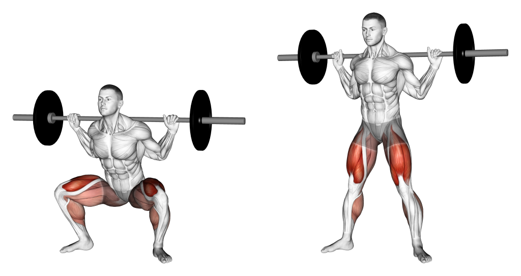 barbell sumo squat muscles