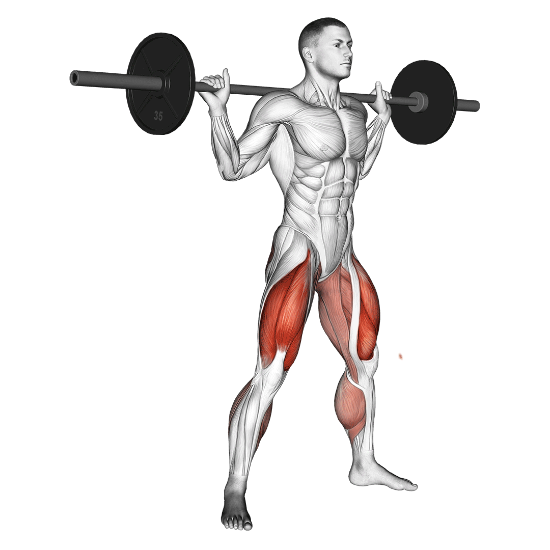 barbell sumo squat