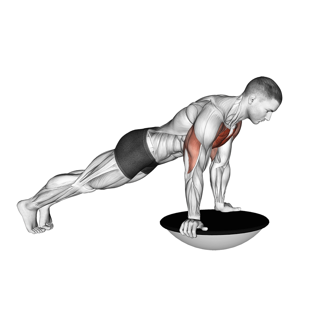 bosu ball push up