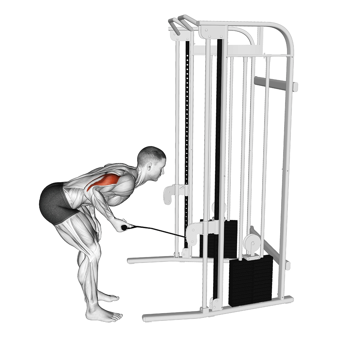 cable tricep kickback